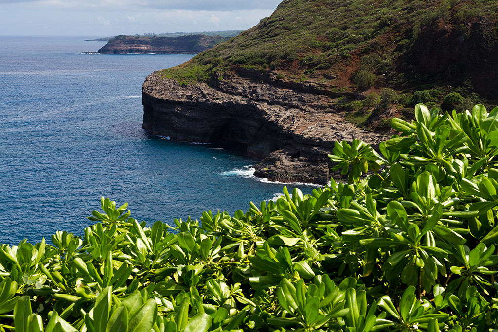 Kauai - 061.jpg